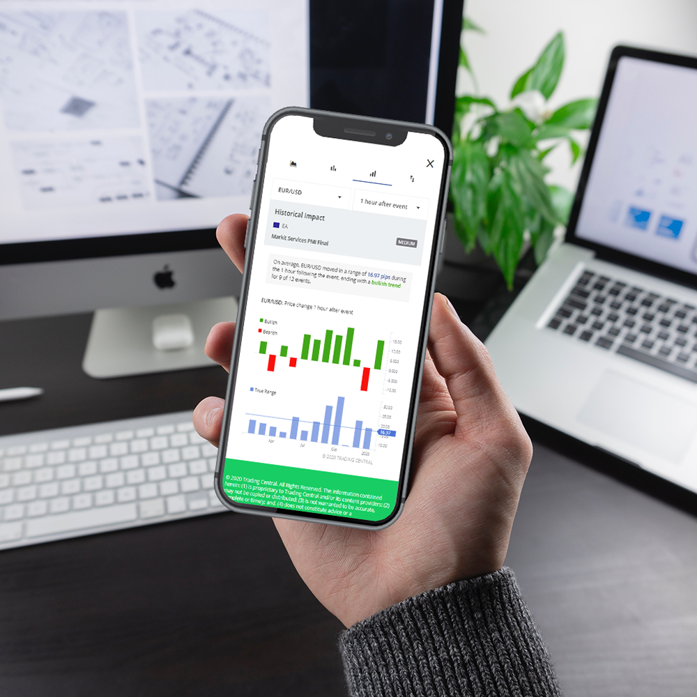Economic Insight mobile mockup - explore risk and volatility analysis